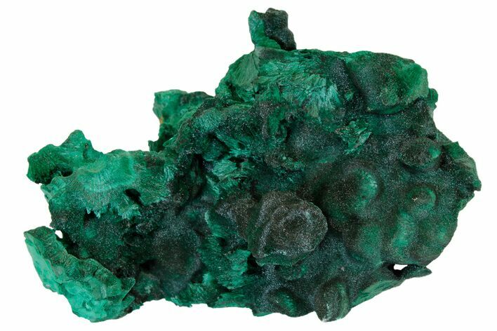 Silky, Fibrous Malachite Cluster - Congo #176304
